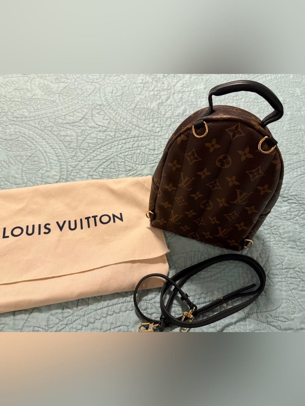 Louis Vuitton Palm Spring Mini Backpack with Gold Hardware - Picture 3 of 4